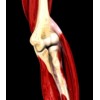 Trattamento delle fratture-lussazioni del gomito con instabilità rotatoria postero-laterale e postero-mediale