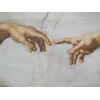 La mano: sintesi evolutiva di pensiero e azione