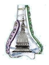 2° Corso Base e Avanzato IL GOMITO TRAUMATICO