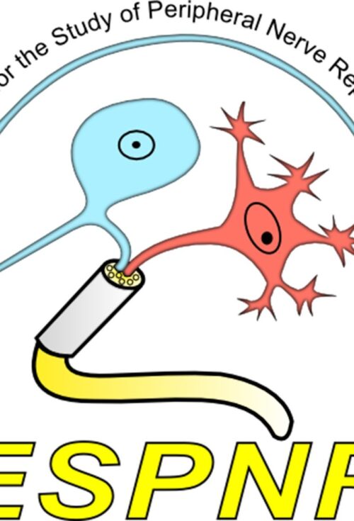7th International Symposium on Peripheral Nerve Regeneration