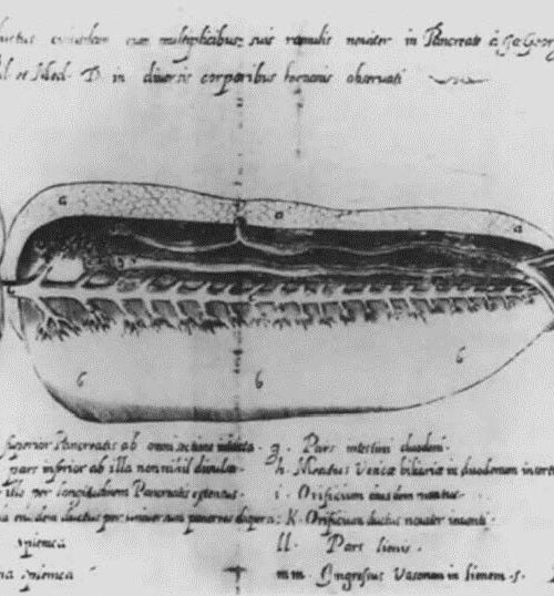 Ablazioni Pancreatiche