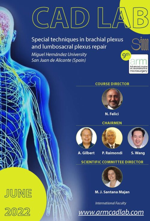 BRACHIAL PLEXUS AND LUMBOSACRAL PLEXUS REPAIR