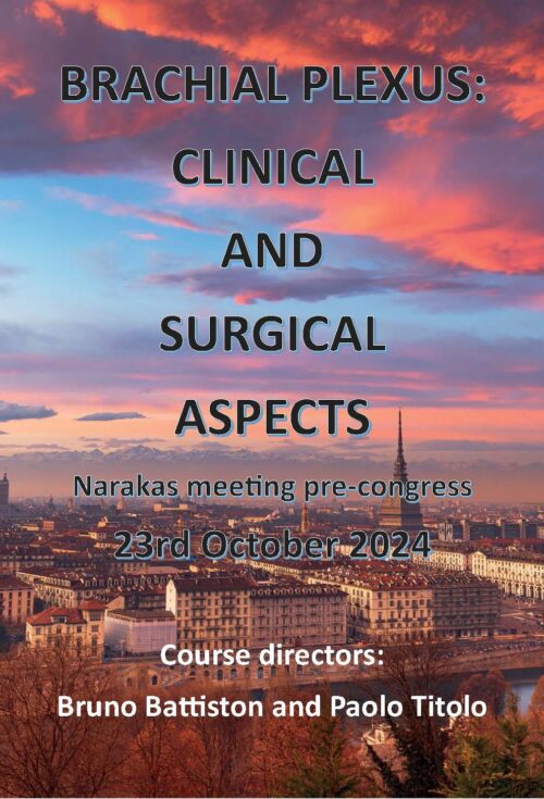Brachial Plexus: Clinical and Surgical Aspects