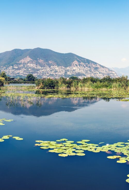 Condividere conoscenze e prassi clinica