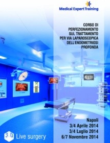 Corso di perfezionamento sul trattamento per via laparoscopica dell'endometriosi profonda