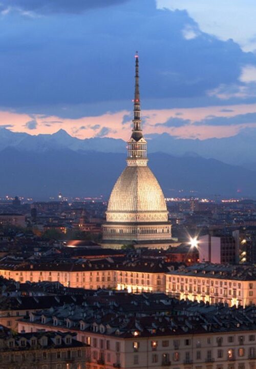 Giornata di Approfondimento in MIcrochirurgia