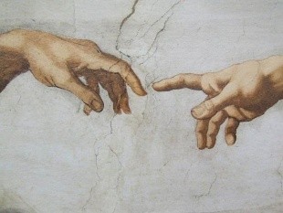 La mano: sintesi evolutiva di pensiero e azione