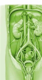 La qualità nell'endoscopia del tumore vescicale
