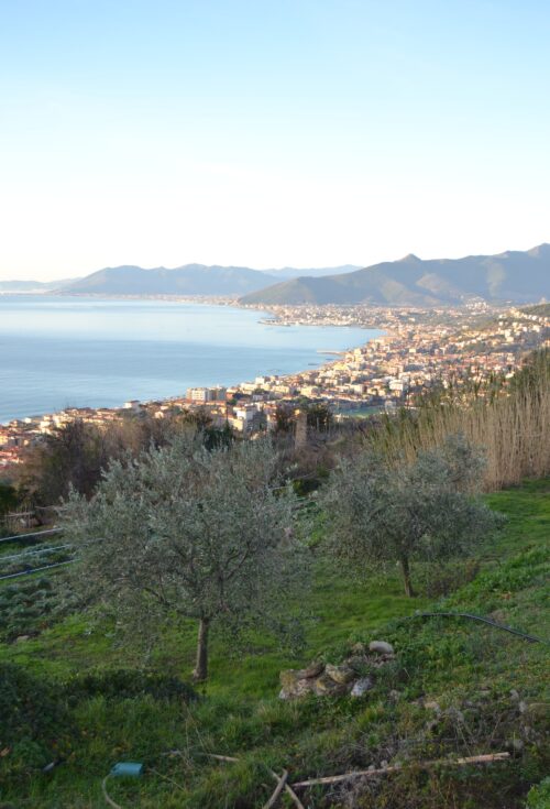 Microchirurgia e Infezioni