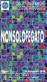 NONSOLOFEGATO