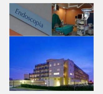 Nuove frontiere e nuove realtà in endoscopia digestiva