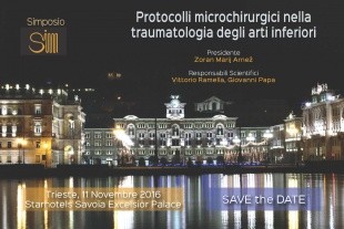 Protocolli microchirurgici nella traumatologia degli arti inferiori