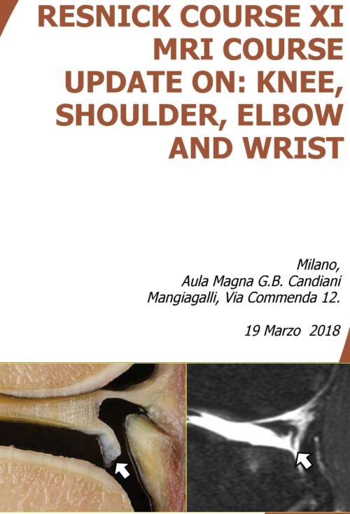 RESNICK COURSE XI - STREAMING