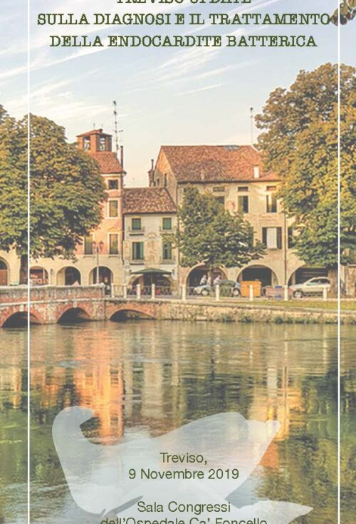 TREVISO UPDATE SULLA DIAGNOSI E TRATTAMENTO DELLA ENDOCARDITE BATTERICA