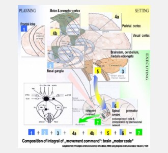 Workshop on Rehabilitation of Nervous System Functions