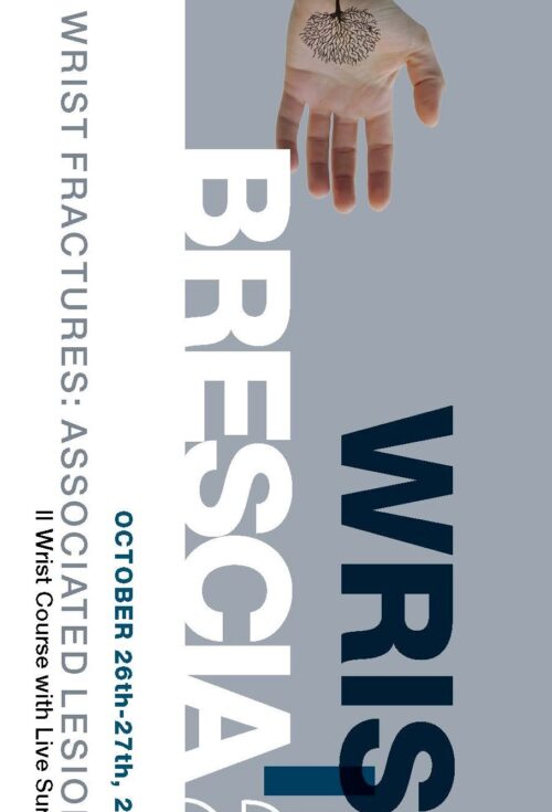 WRIST IN BRESCIA 2nd Wrist Surgery Course with Live Surgery