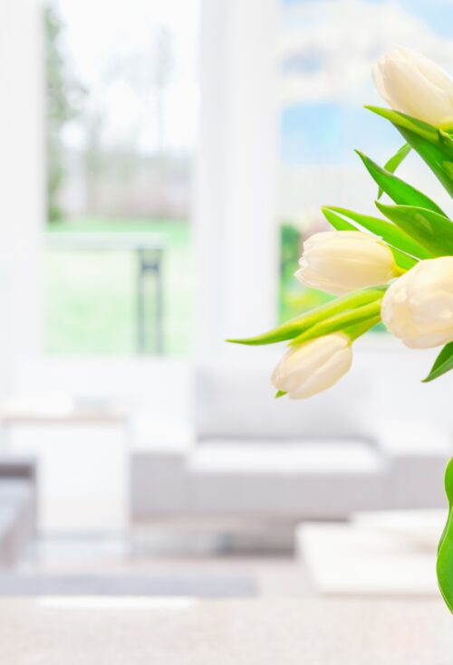 Giornata di Approfondimento