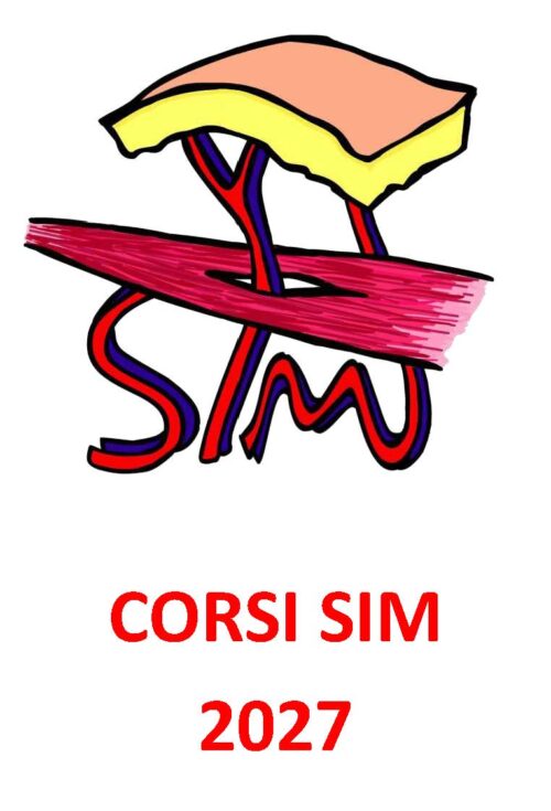 TUTTO CIÒ CHE AVRESTE VOLUTO IMPARARE SUI LEMBI PERFORANTI