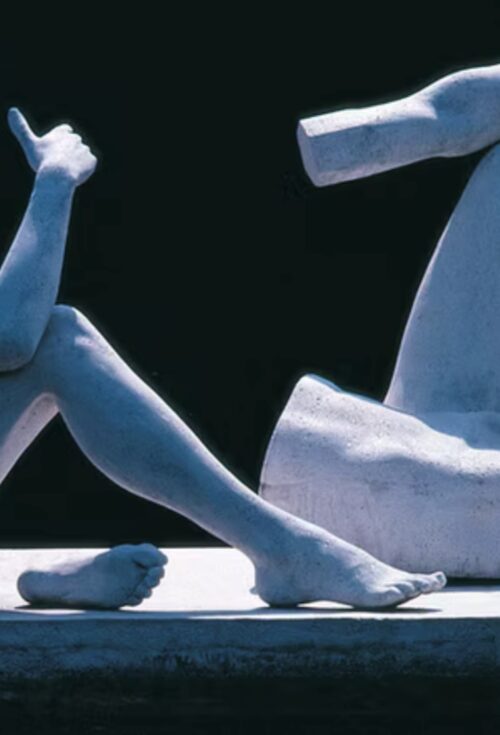 Ortopedia e Chirurgia Plastica: dialoghi Ricostruttivi