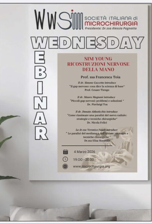 WEBINAR SIM N°4