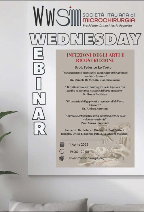 WEBINAR SIM N°5