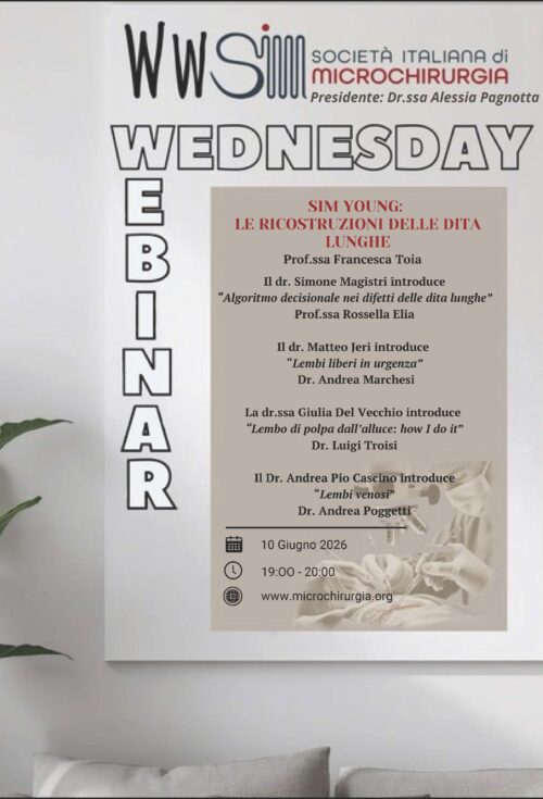 WEBINAR SIM N°7